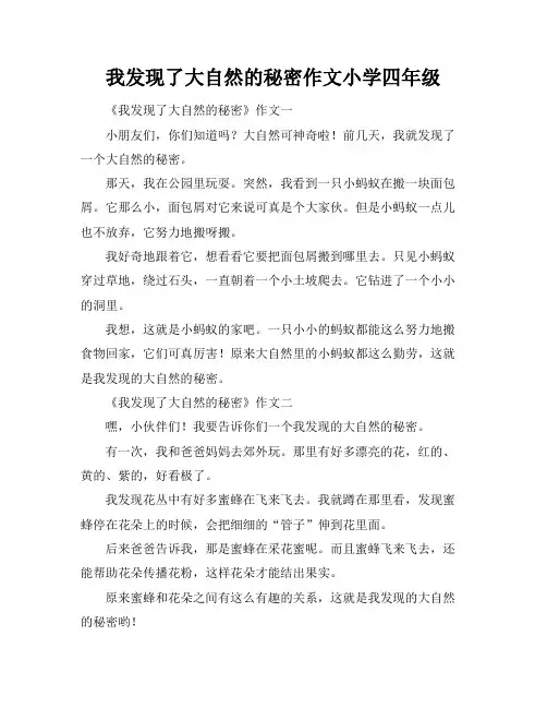 我发现了大自然的秘密作文小学四年级