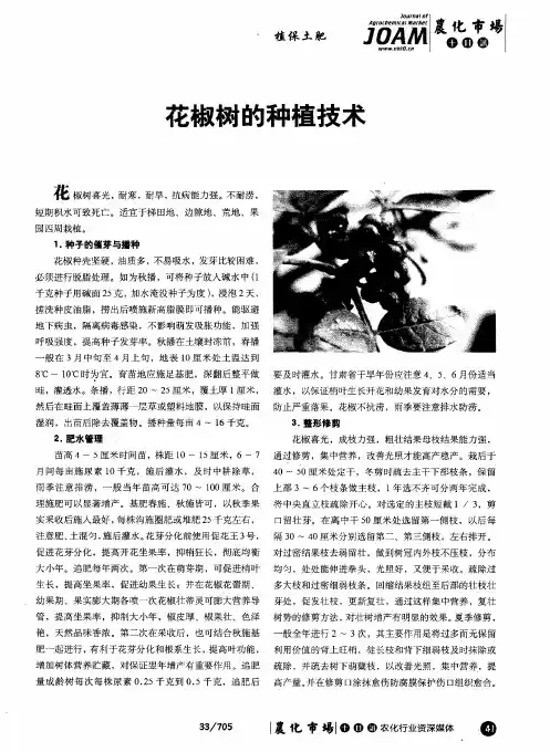 花椒树的种植技术