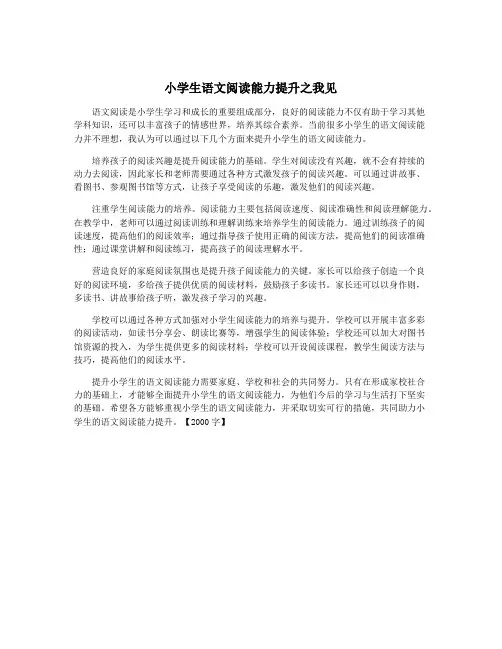 小学生语文阅读能力提升之我见