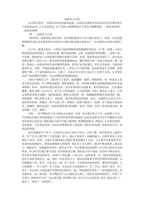 蔬菜实习心得