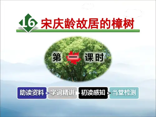 《宋庆龄故居的樟树》PPT教学课件【优秀课件PPT】