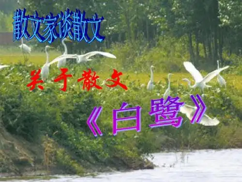 散文家谈散文.ppt