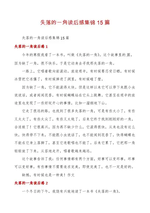 失落的一角读后感集锦15篇