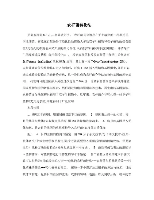 农杆菌转化法