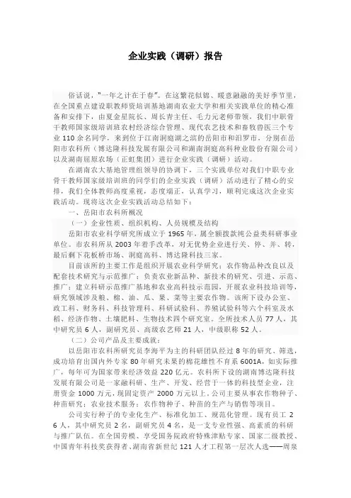 企业实践调研报告
