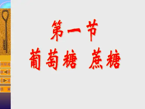 生命的基础能源-糖精品PPT教学课件