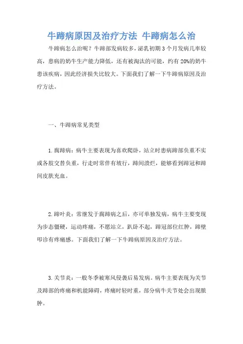 牛蹄病原因及治疗方法 牛蹄病怎么治