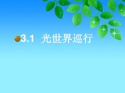 光世界巡行 PPT(粤沪版)优质课件PPT