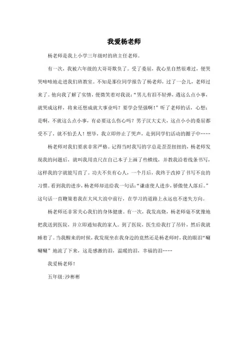 我爱杨老师_小学五年级作文500字