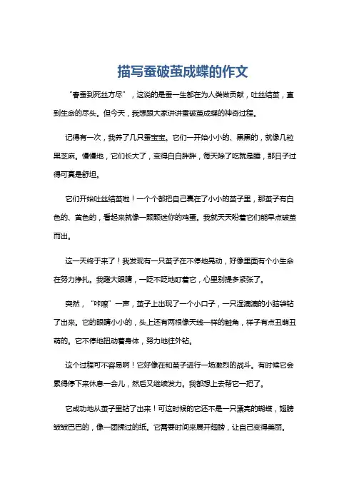 描写蚕破茧成蝶的作文