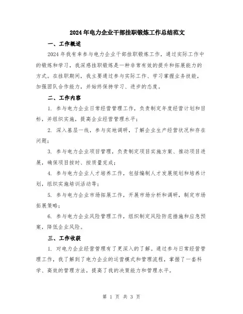 2024年电力企业干部挂职锻炼工作总结范文