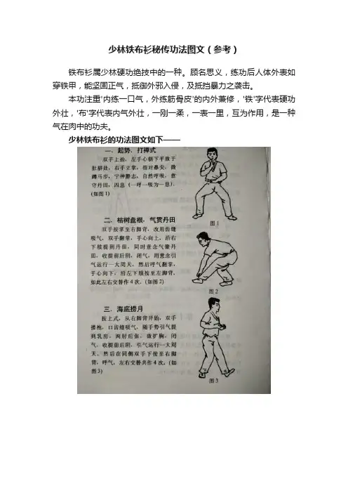 少林铁布衫秘传功法图文（参考）