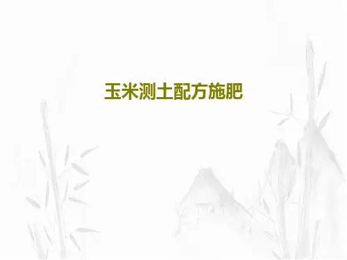 玉米测土配方施肥共23页