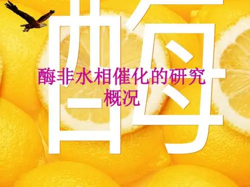 非水相催化 生物技术