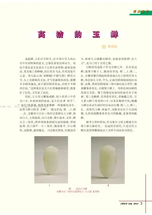 高洁的玉蝉