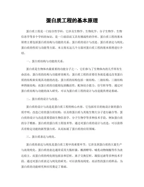 蛋白质工程的基本原理