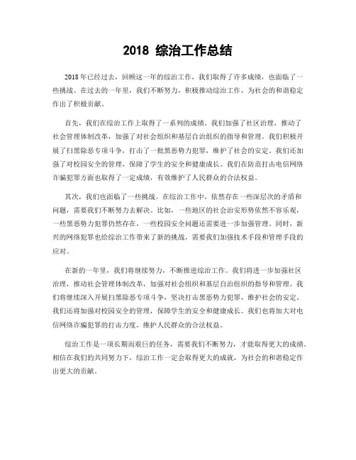 2018 综治工作总结