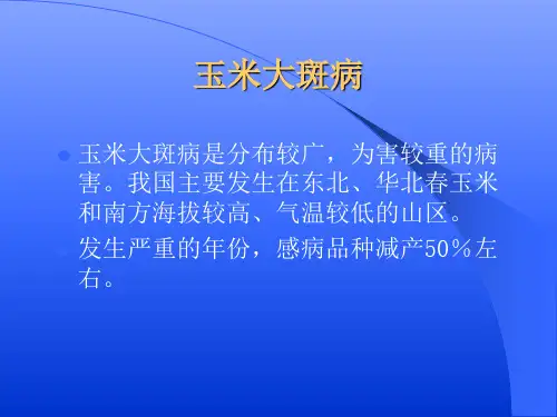 农业植物病理学玉米病害