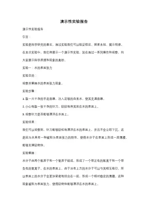 演示性实验报告