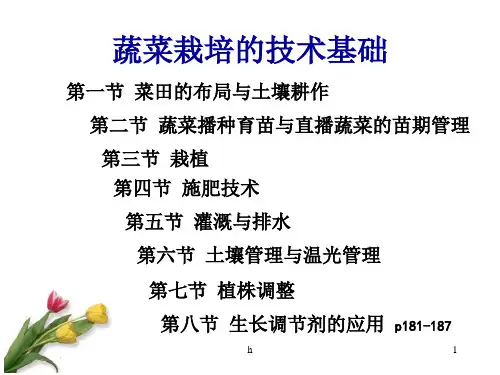 《农学蔬菜种植》PPT课件