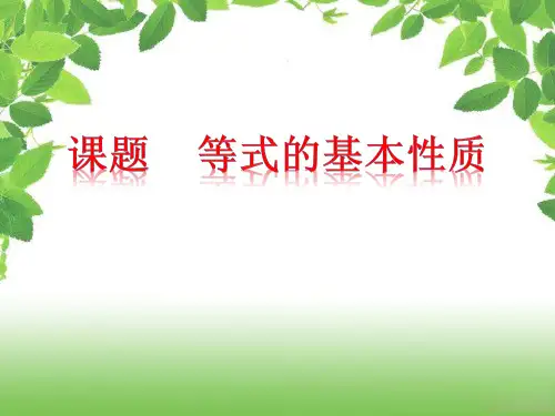等式的基本性质  课件  2021--2022学年青岛版七年级数学上册