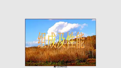 CHI电化学工作站详细教程PPT课件