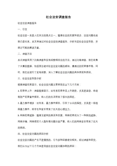 社会治安调查报告