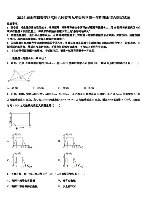 2024届山东省泰安岱岳区六校联考九年级数学第一学期期末综合测试试题含解析