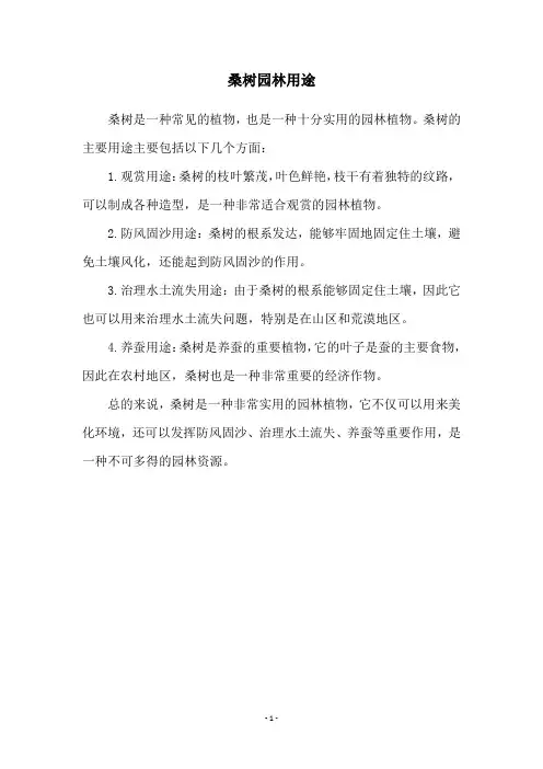 桑树园林用途