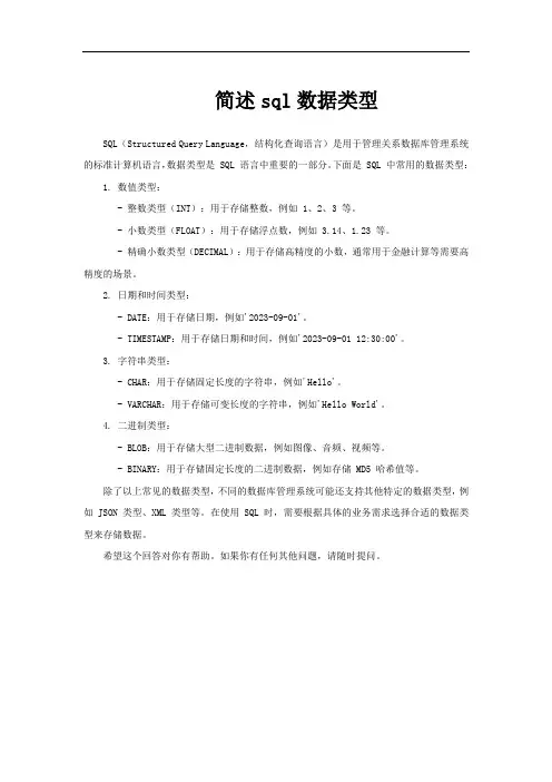 简述sql数据类型