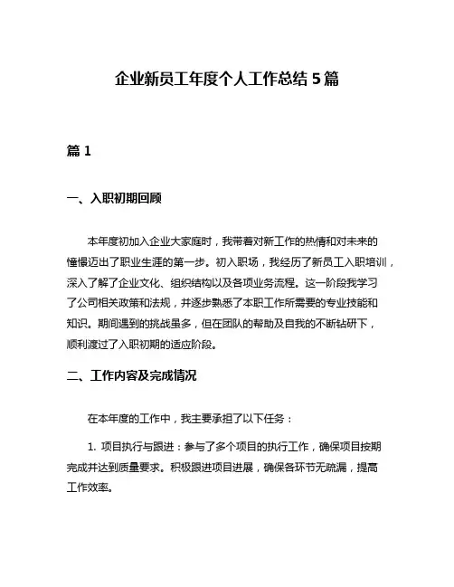 企业新员工年度个人工作总结5篇
