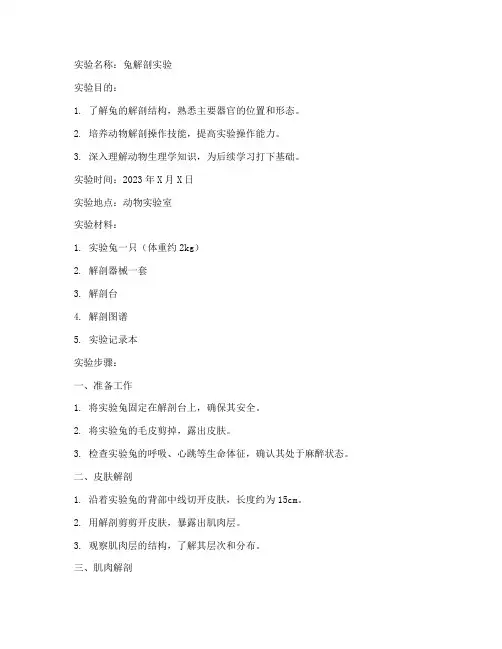 解剖实验报告兔