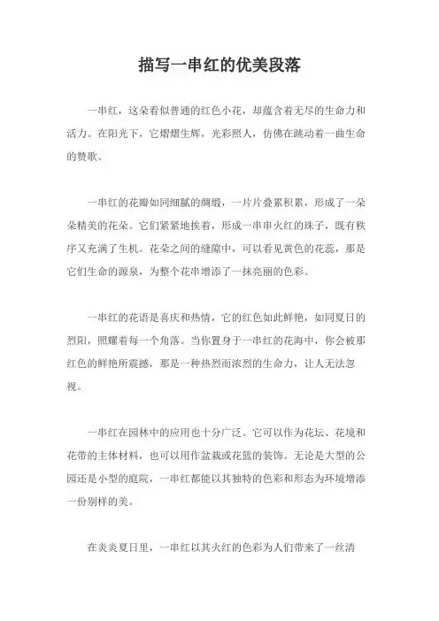 描写一串红的优美段落