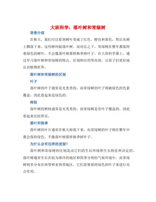 大班科学：落叶树和常绿树
