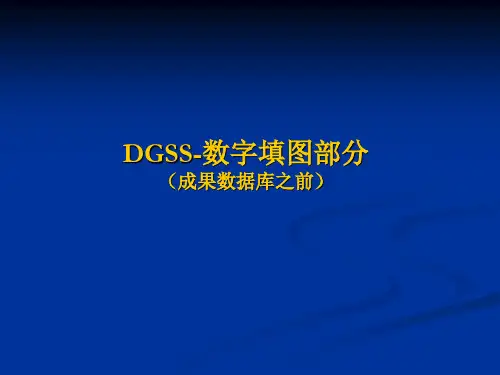 DGSS-数字填图部分操作