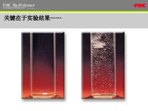 FMC 交联羧甲基纤维素钠——超级崩解剂