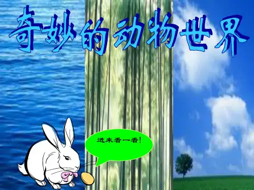 奇妙的动物世界