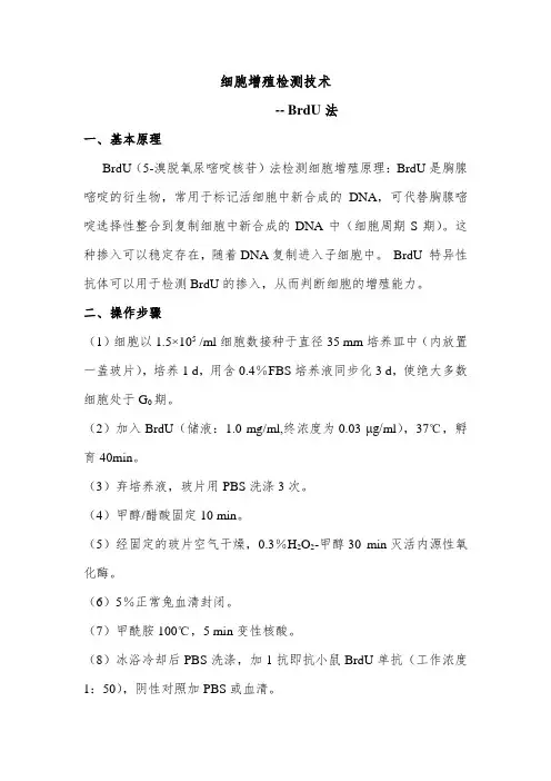 细胞增殖BrdU