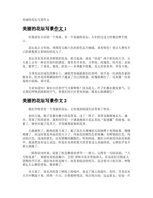 美丽的花坛写景作文