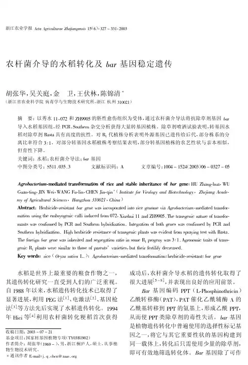 the 农杆菌介导的水稻转化及bar 基因稳定遗传guide download