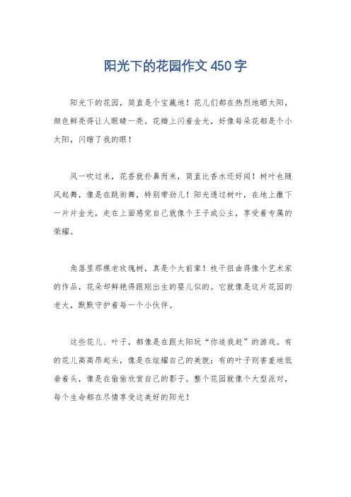 阳光下的花园作文450字