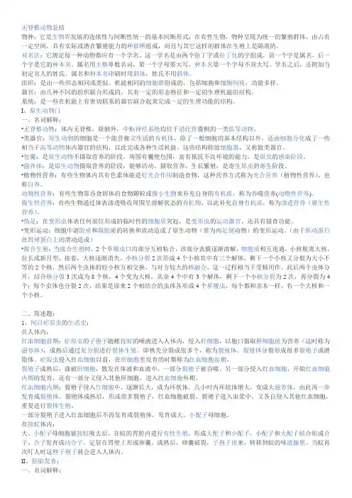 无脊椎动物总结