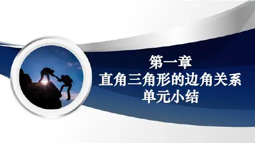九年级下册第一章直角三角形的边角关系(单元小结)同步课件