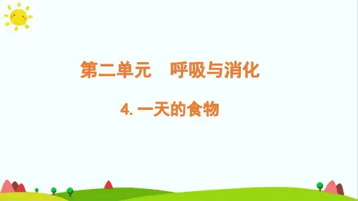 最新教科版小学科学四年级上册第二单元呼吸与消化《一天的食物》精品课件