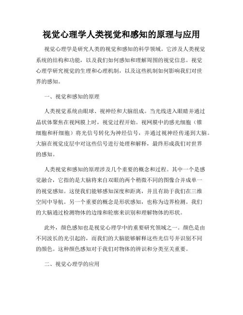 视觉心理学人类视觉和感知的原理与应用