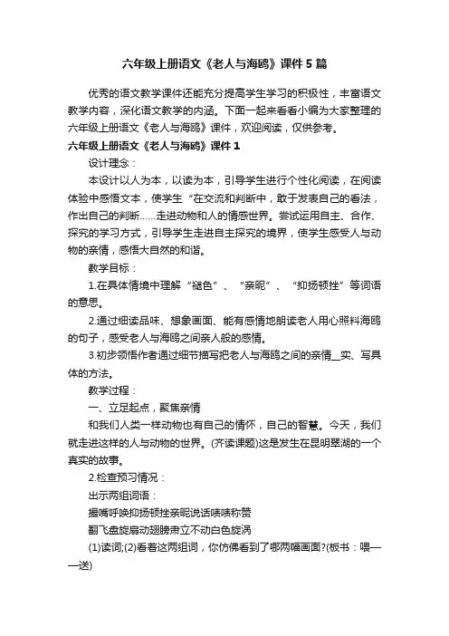 六年级上册语文《老人与海鸥》课件5篇