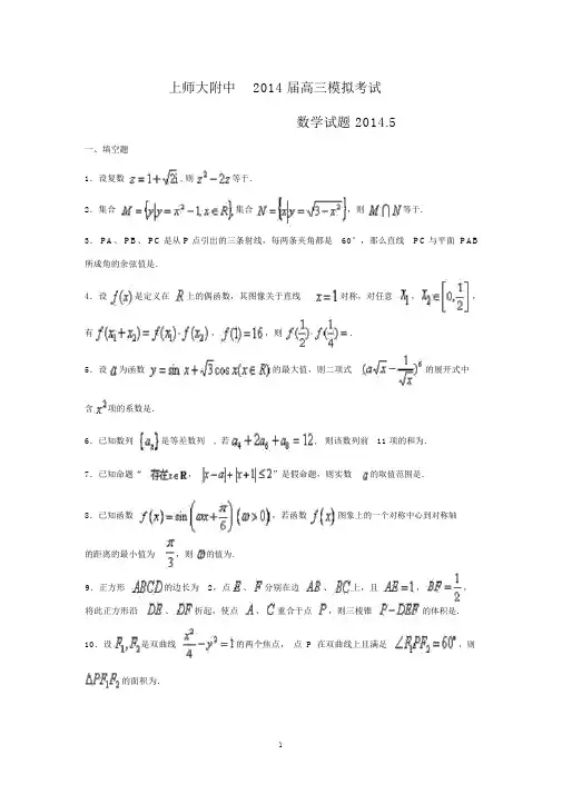 【数学】上海市徐汇区上师大附中2014届高三模拟试题.docx