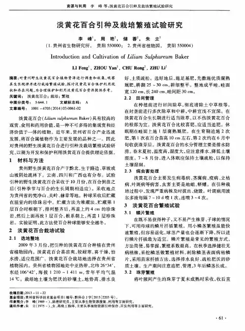 淡黄花百合引种及栽培繁殖试验研究