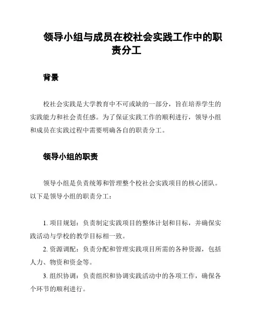 领导小组与成员在校社会实践工作中的职责分工