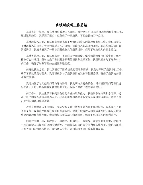 乡镇财政所工作总结